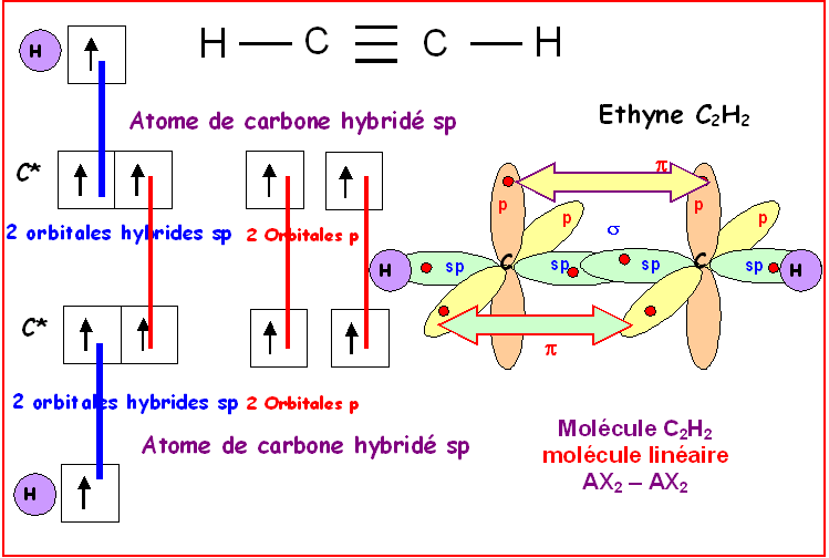 Le carbone digonal ou carbone sp — free download